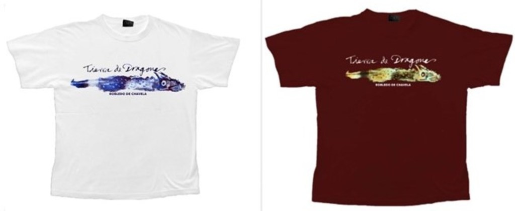 Robledo por el mundo: El dragón viajero (2)