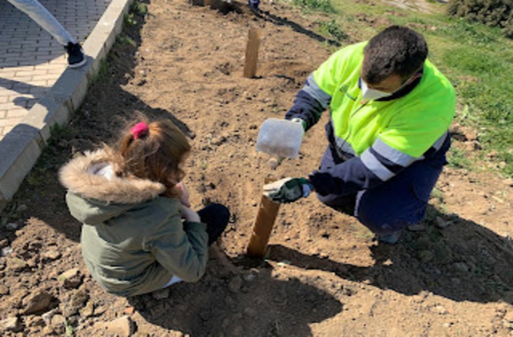 Plantación de encinas, robles y madroños. CEIP de Robledo de&nbsp;Chavela