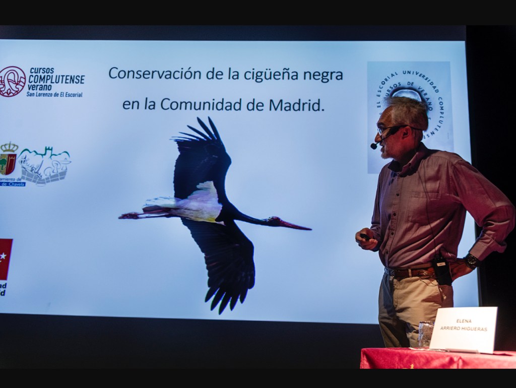 Curso de Verano de la UCM en Robledo de Chavela: Renacer de la naturaleza. Éxitos en la conservación y recuperación de la biodiversidad en&nbsp;España